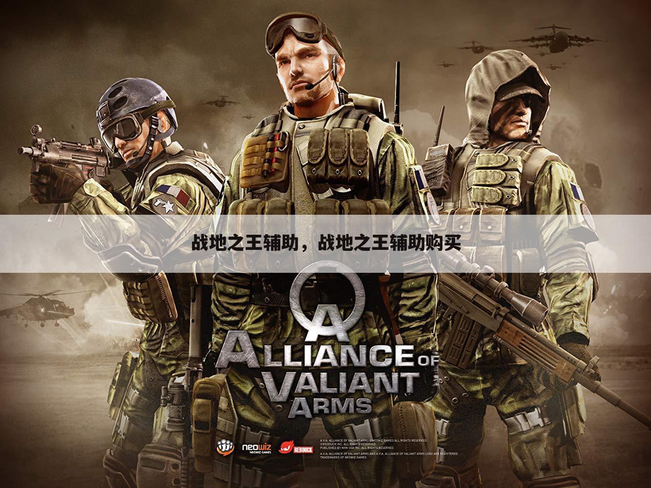 战地之王辅助，战地之王辅助购买