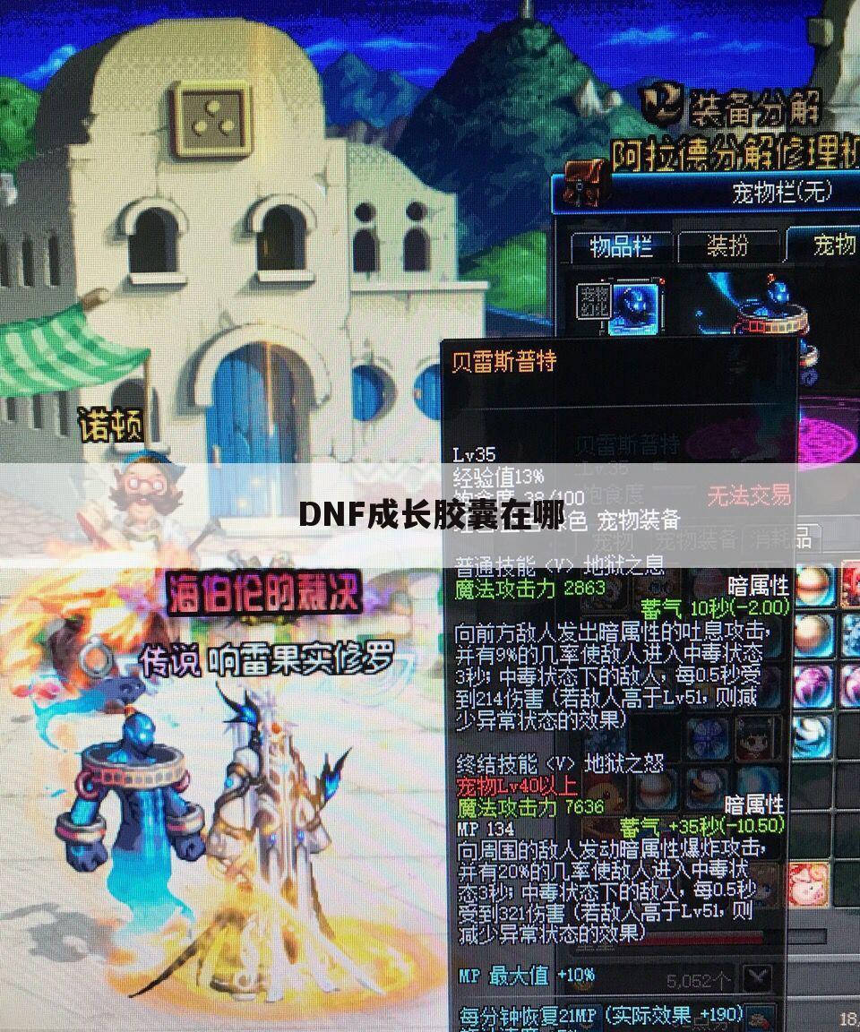 DNF成长胶囊在哪