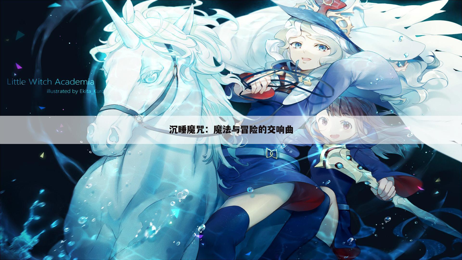 沉睡魔咒：魔法与冒险的交响曲