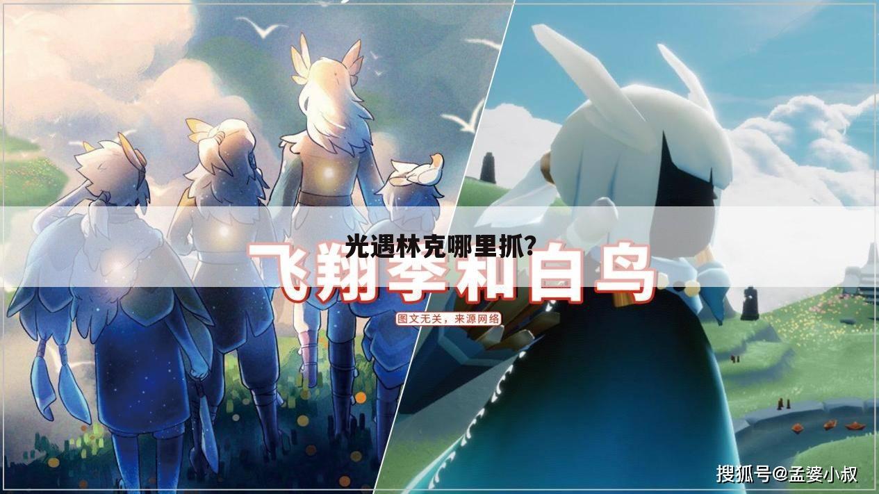 光遇林克哪里抓?