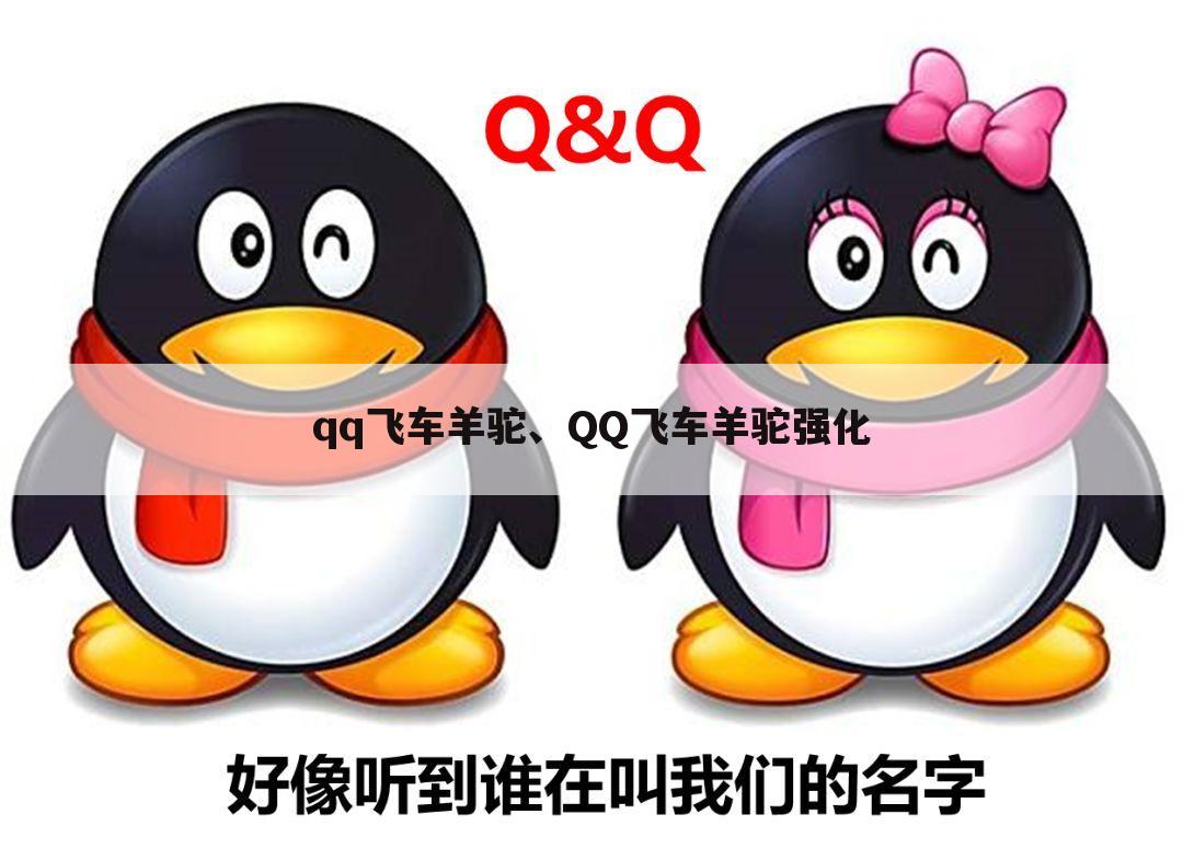 qq飞车羊驼、QQ飞车羊驼强化