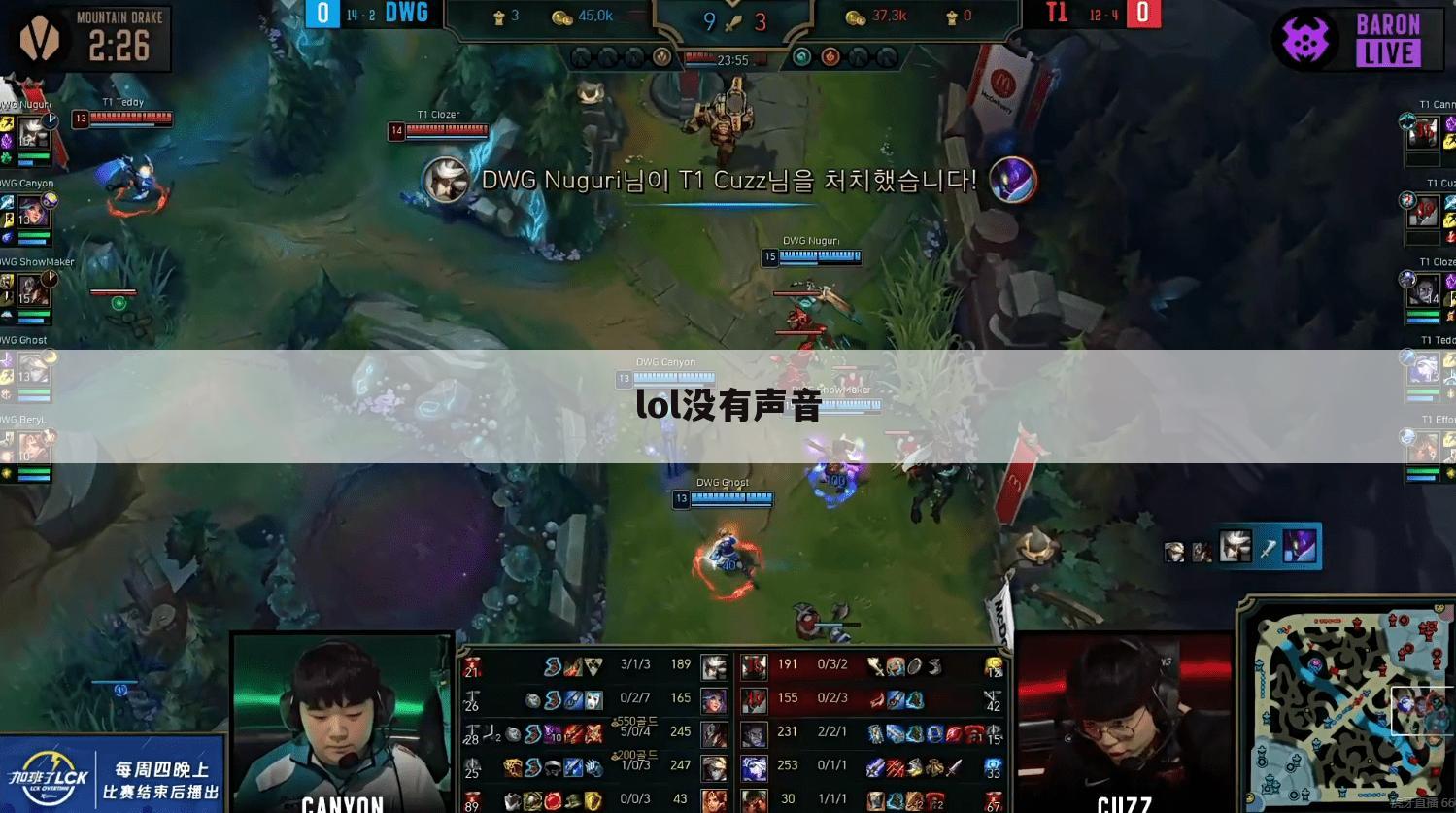 lol没有声音