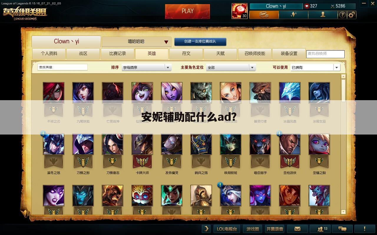 安妮辅助配什么ad?