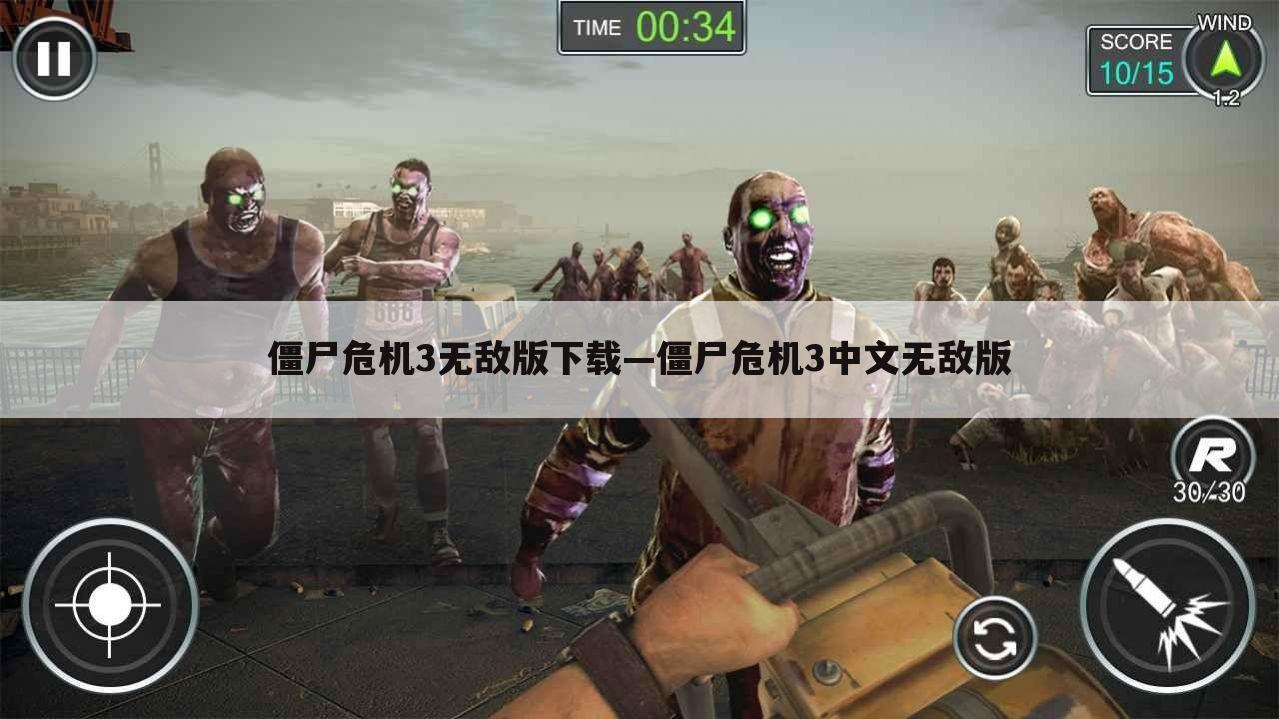 僵尸危机3无敌版下载—僵尸危机3中文无敌版