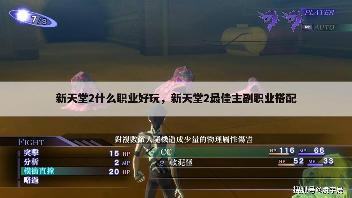 新天堂2什么职业好玩，新天堂2最佳主副职业搭配