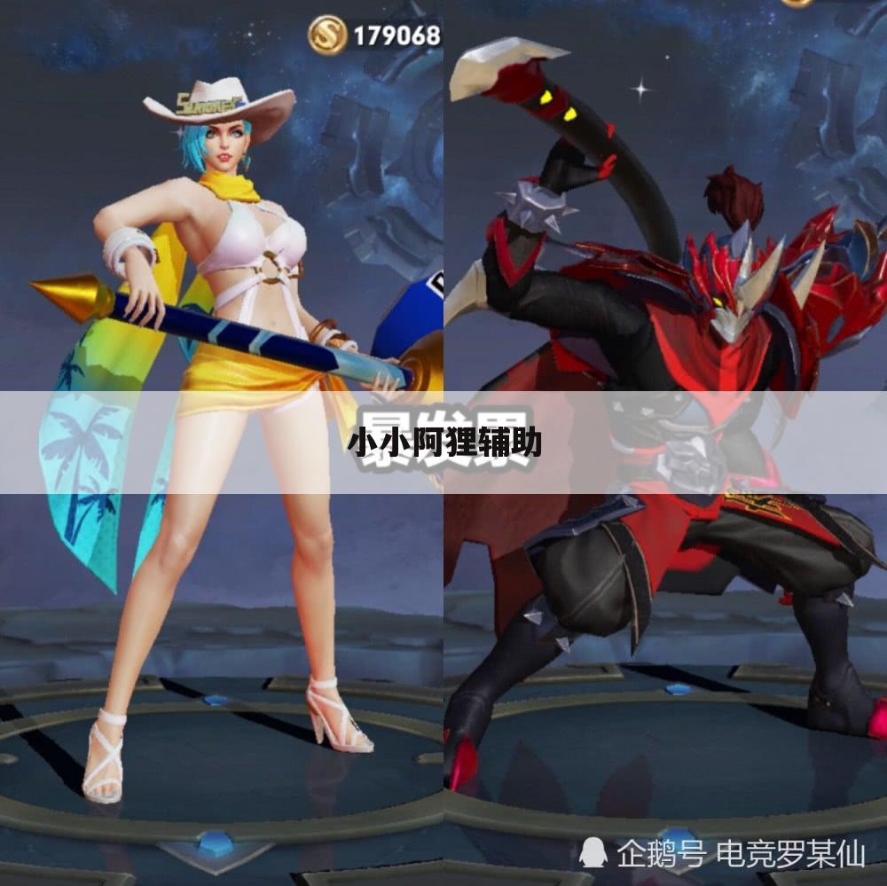 小小阿狸辅助