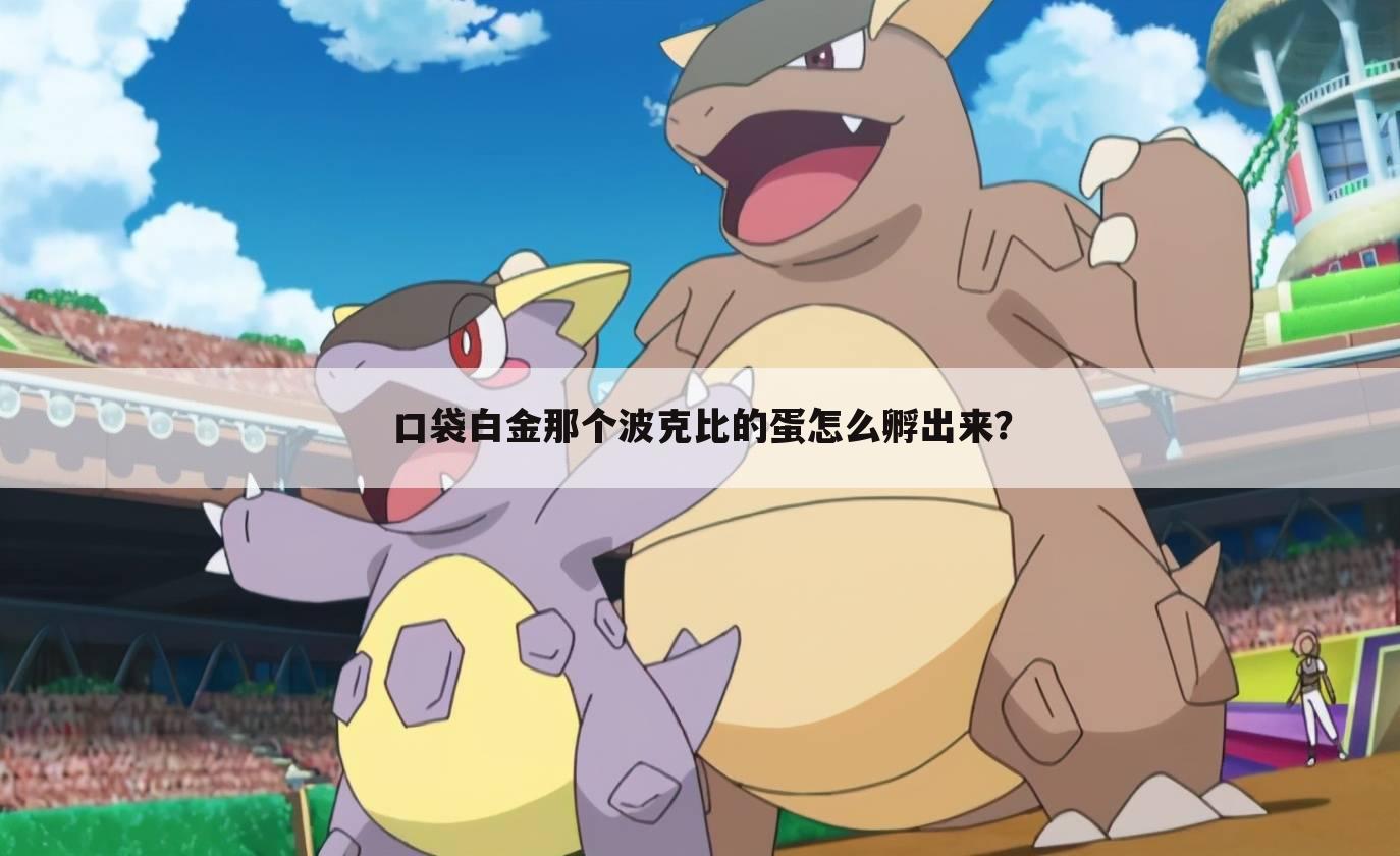 口袋白金那个波克比的蛋怎么孵出来?