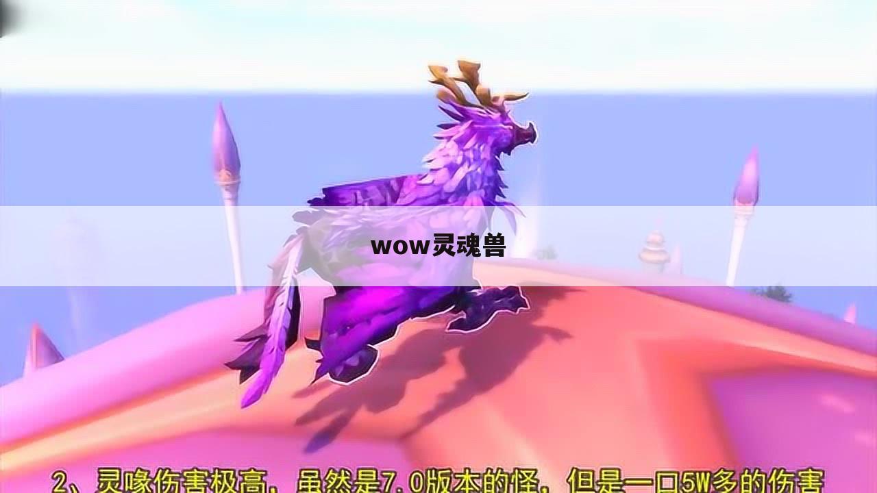 wow灵魂兽
