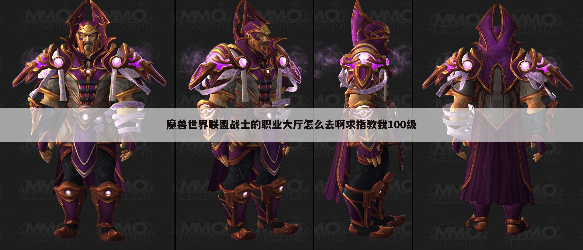 魔兽世界联盟战士的职业大厅怎么去啊求指教我100级