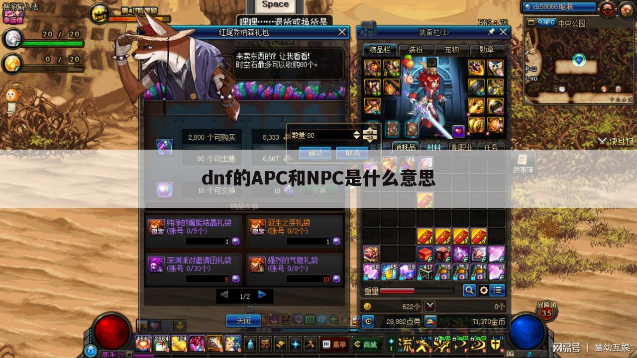 dnf的APC和NPC是什么意思