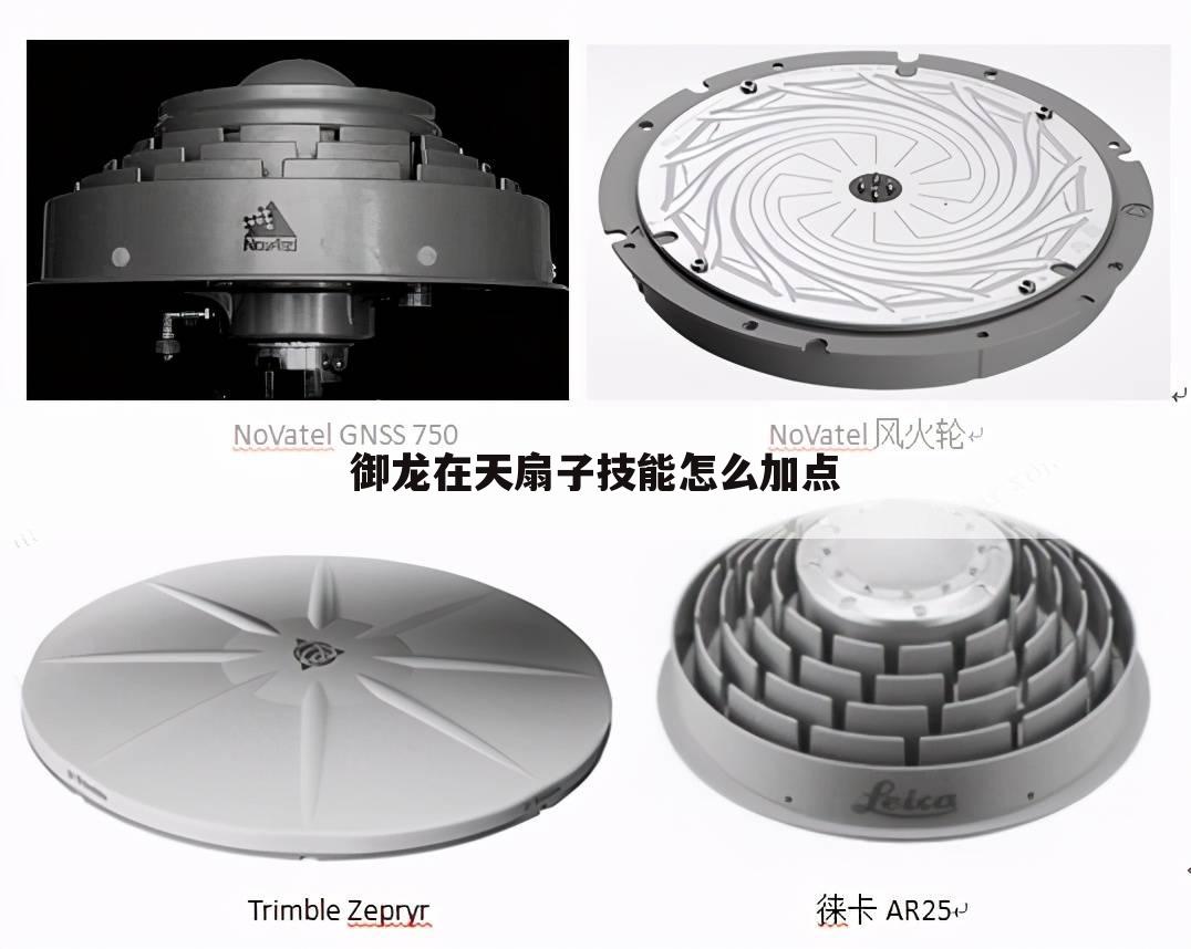 御龙在天扇子技能怎么加点