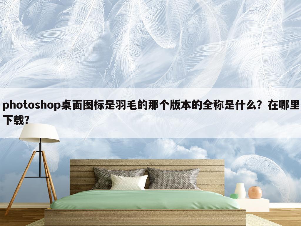 photoshop桌面图标是羽毛的那个版本的全称是什么?在哪里下载?