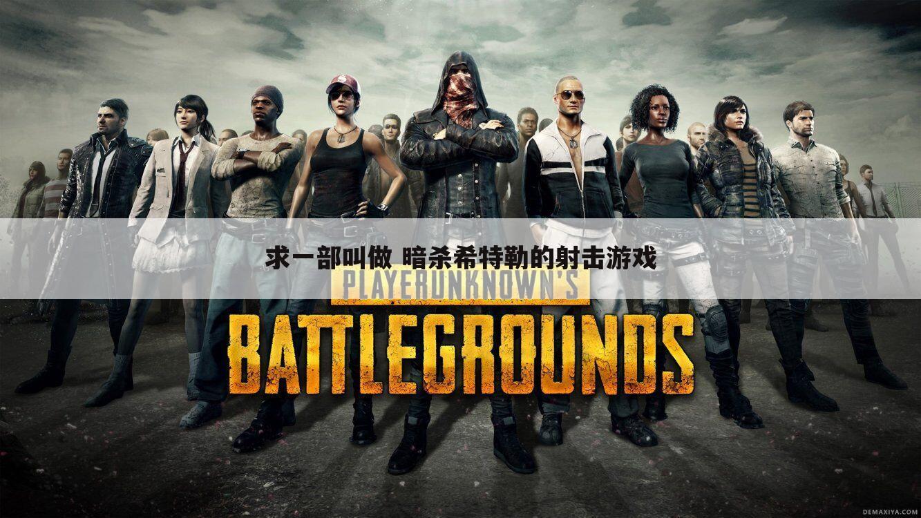 求一部叫做 暗杀希特勒的射击游戏