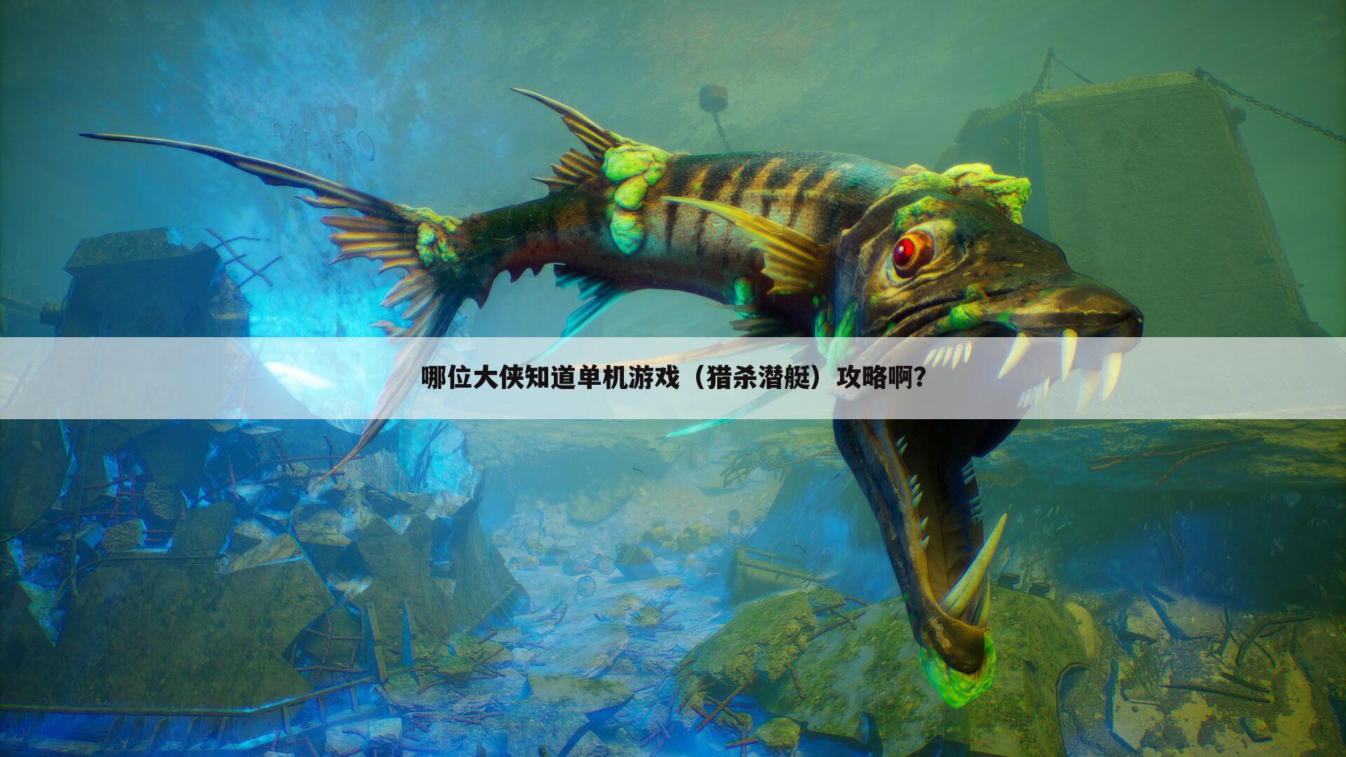 哪位大侠知道单机游戏(猎杀潜艇)攻略啊?