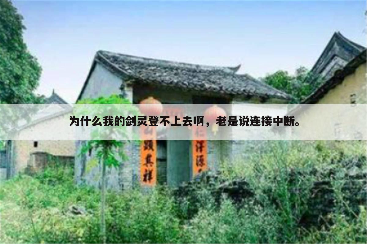 为什么我的剑灵登不上去啊,老是说连接中断。