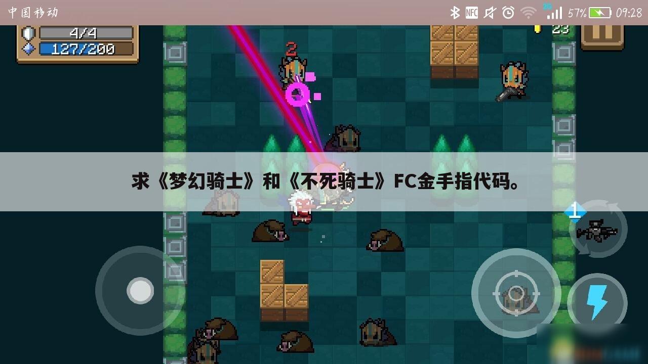 求《梦幻骑士》和《不死骑士》FC金手指代码。