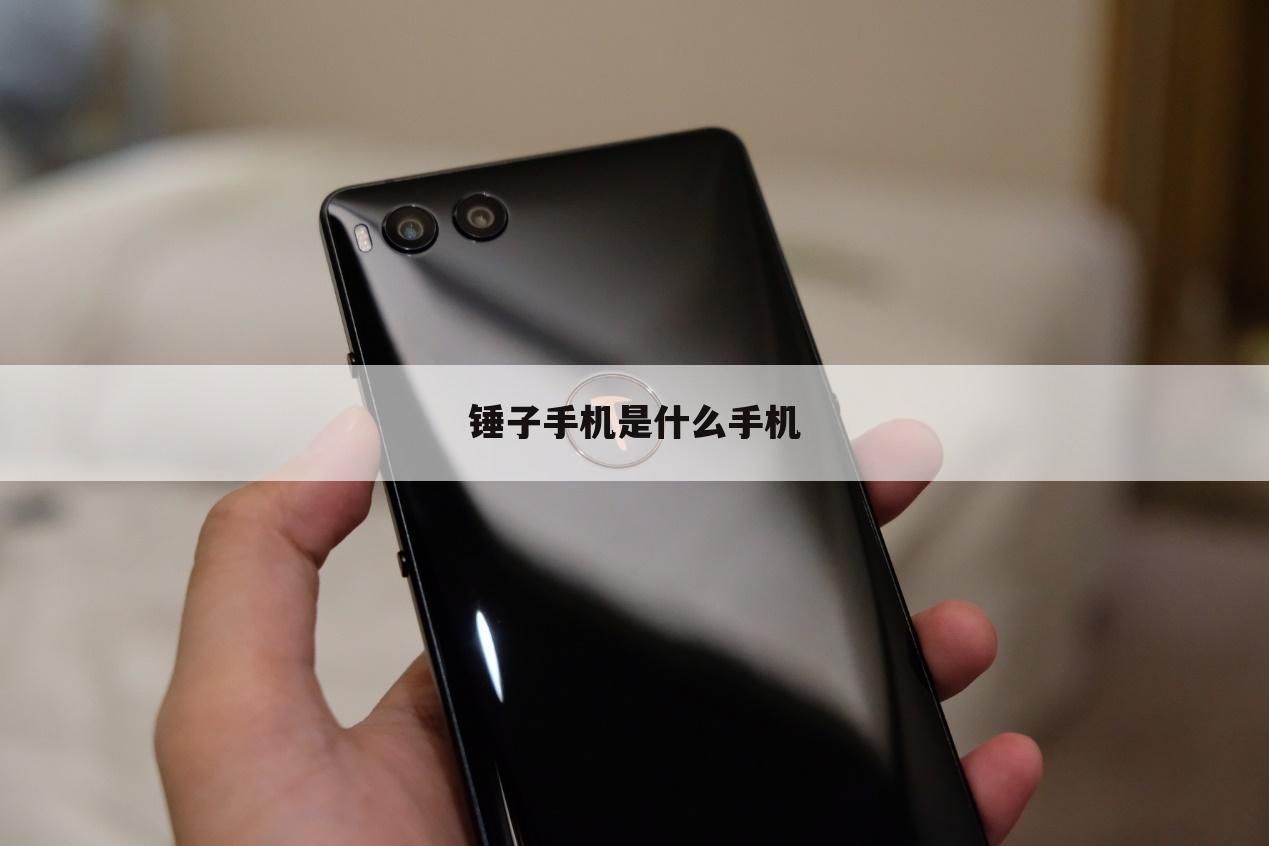 锤子手机是什么手机