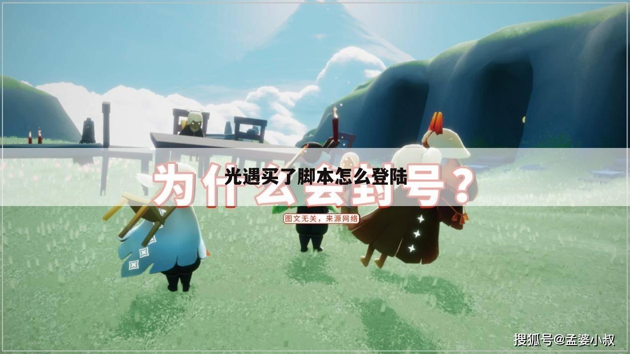 光遇买了脚本怎么登陆