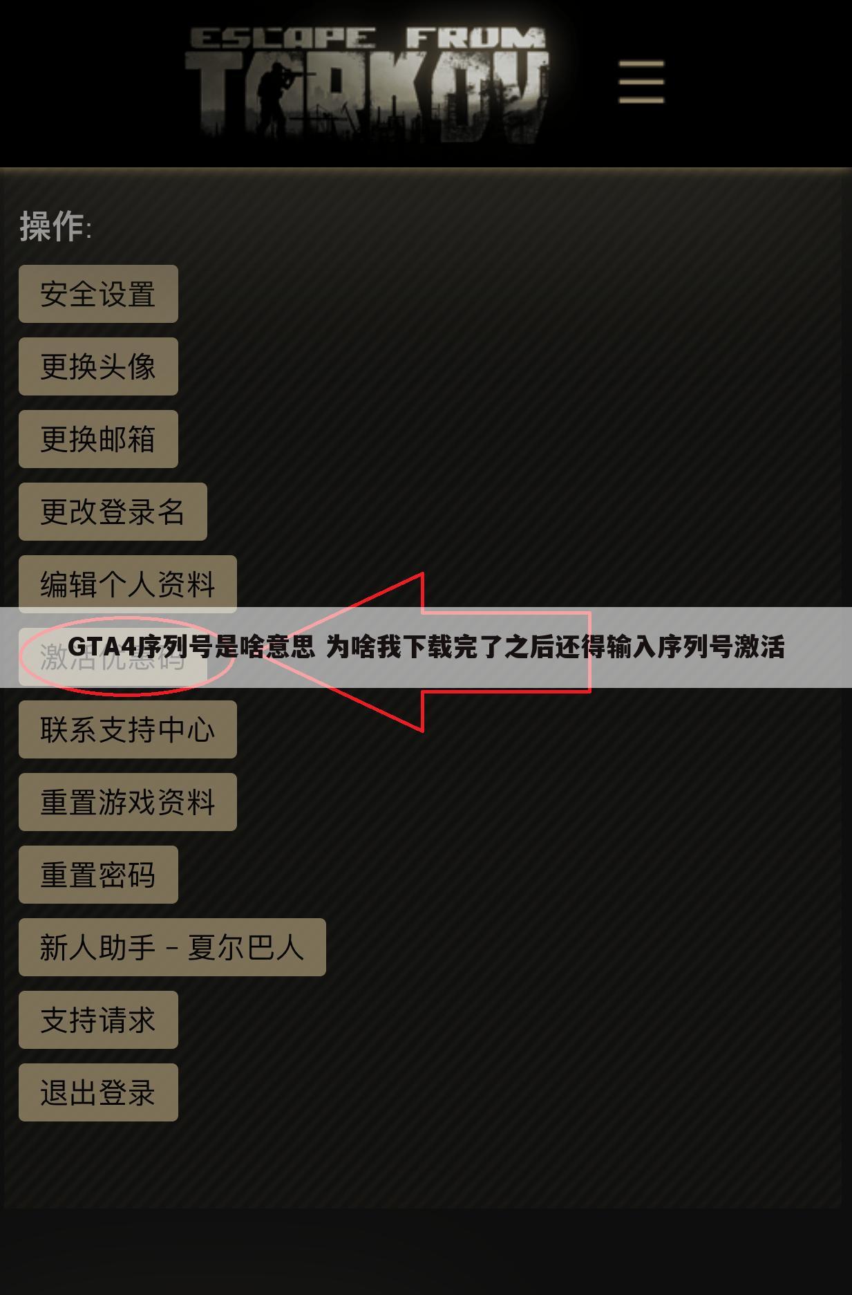 GTA4序列号是啥意思 为啥我下载完了之后还得输入序列号激活