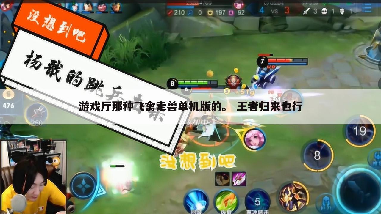 游戏厅那种飞禽走兽单机版的。 王者归来也行