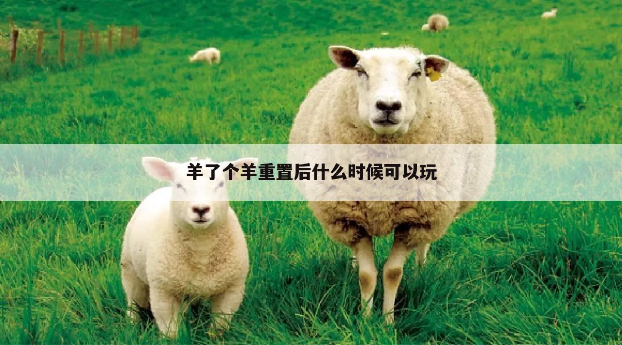 羊了个羊重置后什么时候可以玩