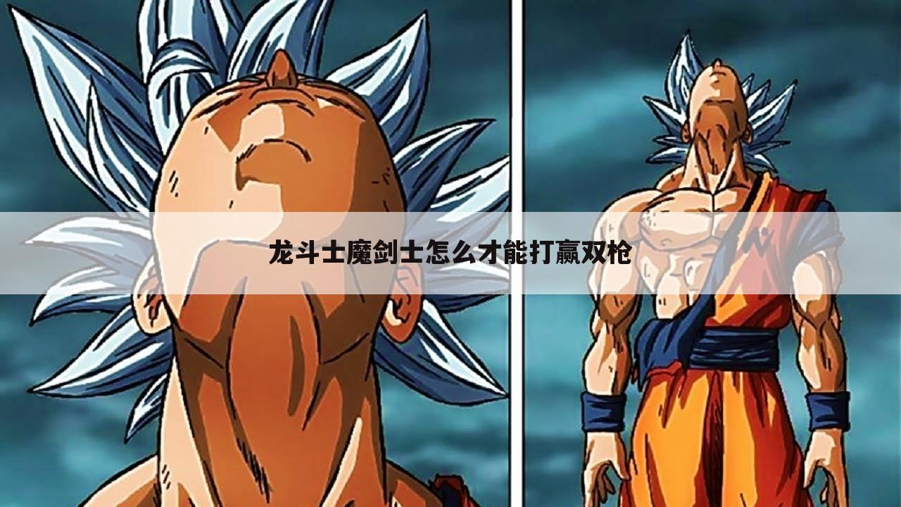 龙斗士魔剑士怎么才能打赢双枪