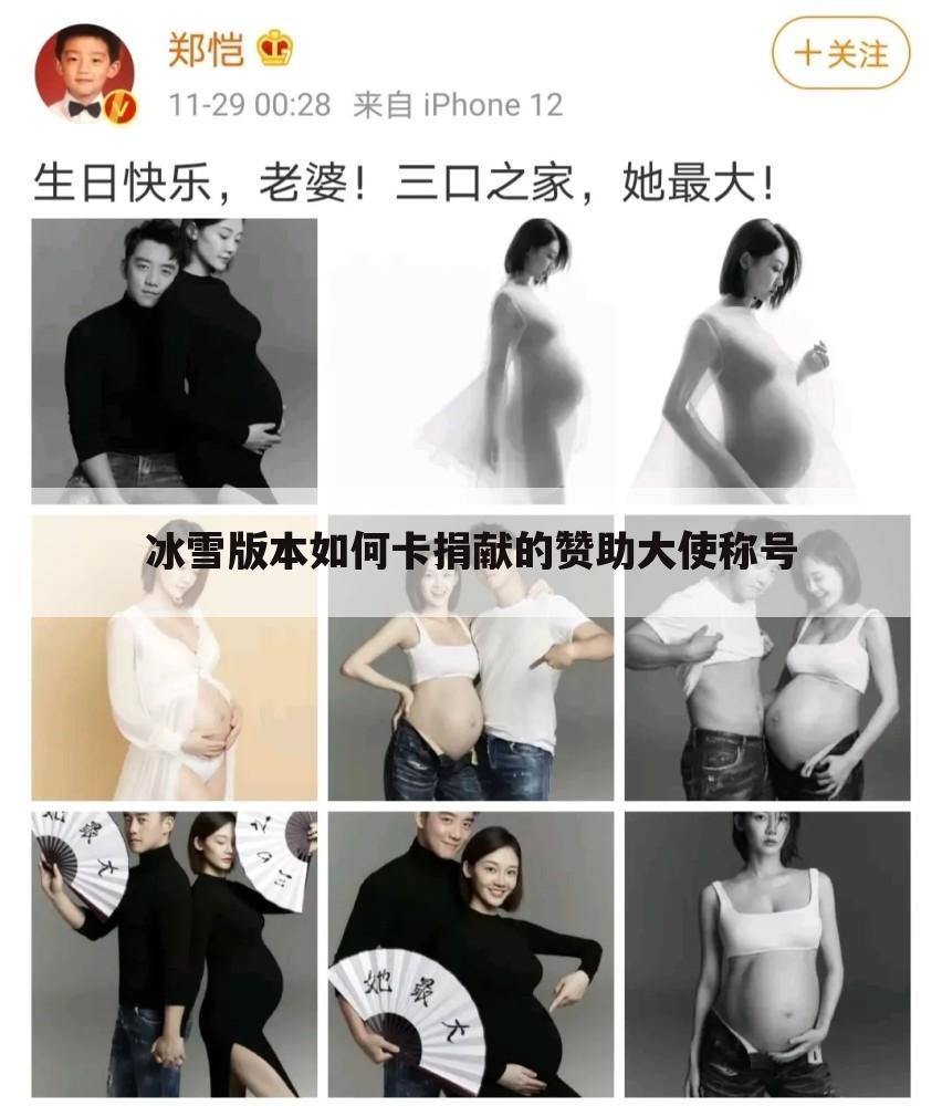 冰雪版本如何卡捐献的赞助大使称号