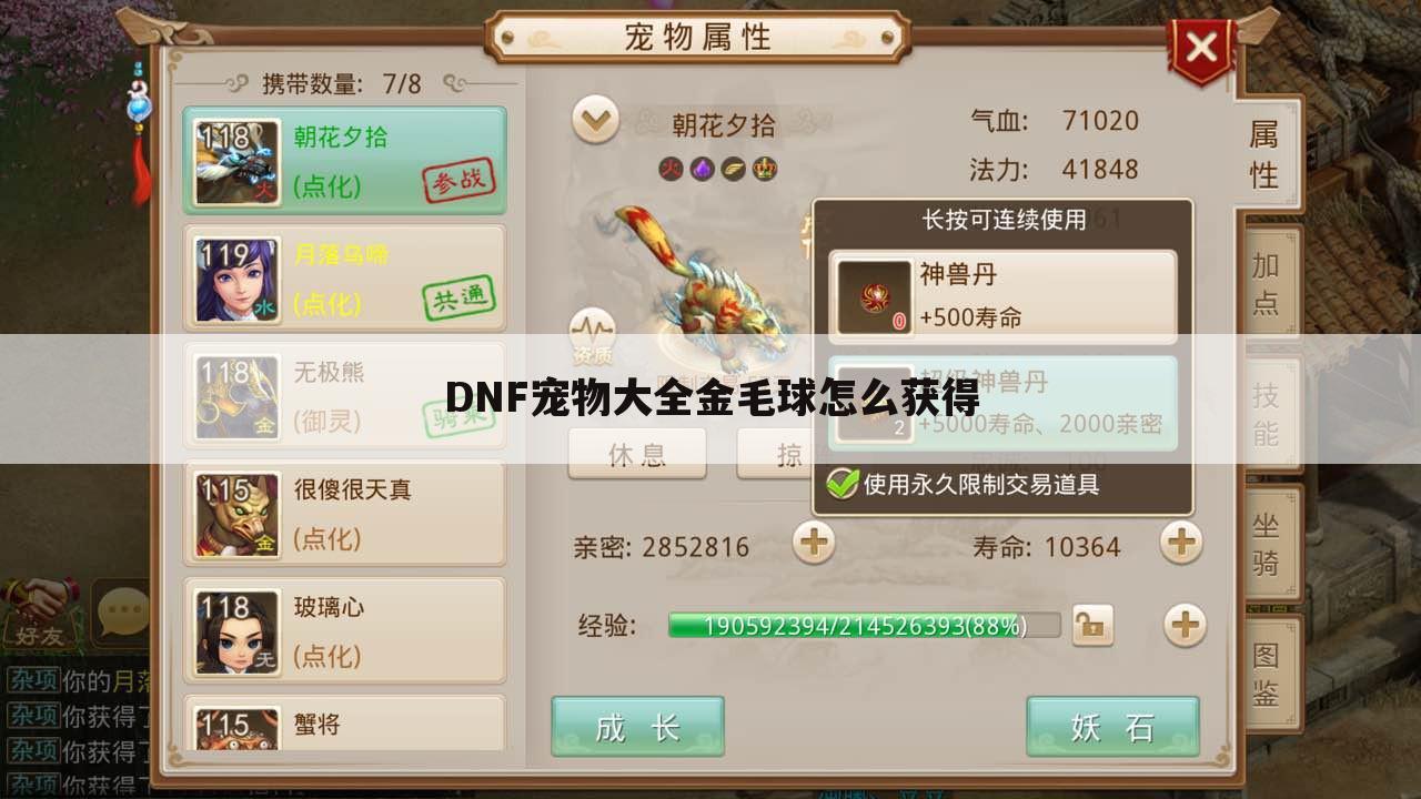 DNF宠物大全金毛球怎么获得