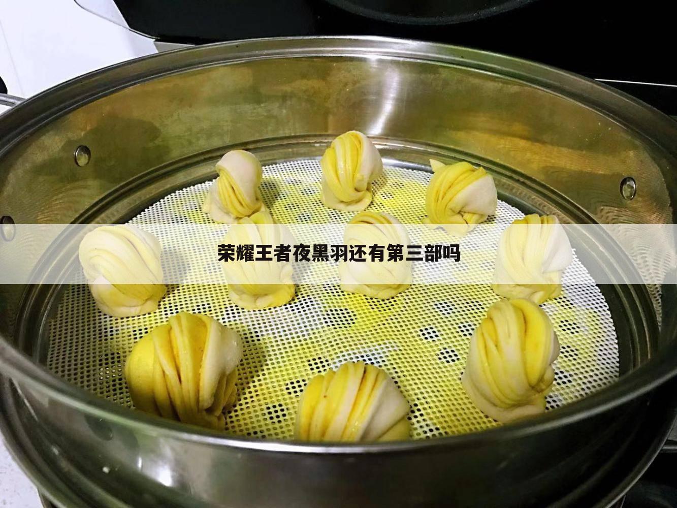 荣耀王者夜黑羽还有第三部吗