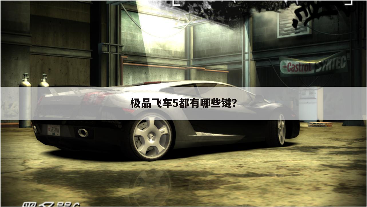 极品飞车5都有哪些键?