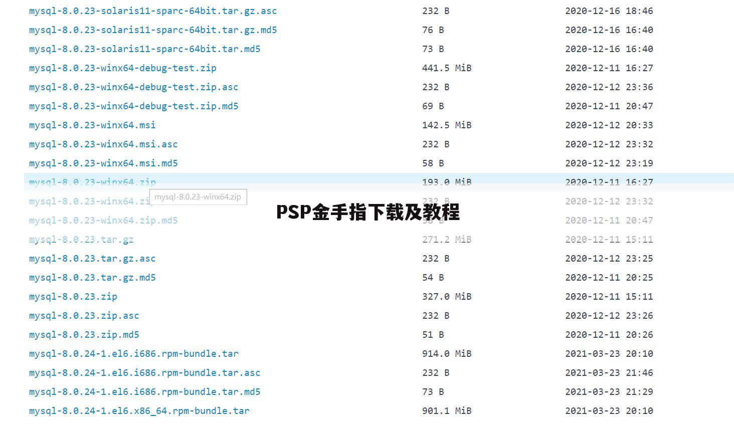 PSP金手指下载及教程