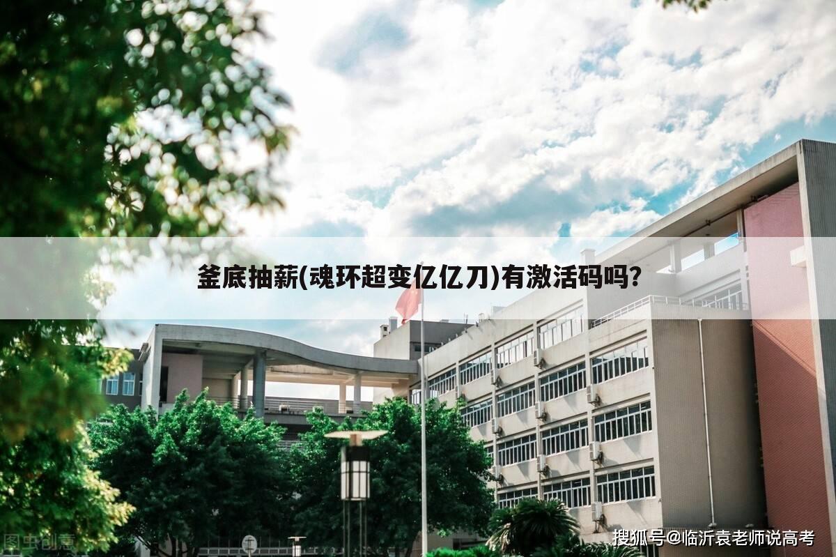 釜底抽薪(魂环超变亿亿刀)有激活码吗?