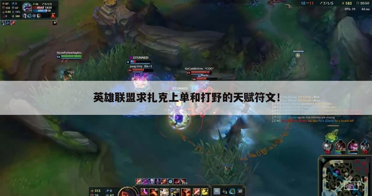 英雄联盟求扎克上单和打野的天赋符文!
