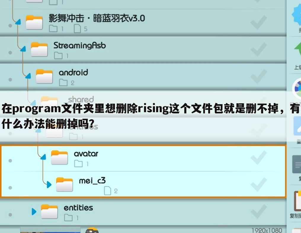 在program文件夹里想删除rising这个文件包就是删不掉,有什么办法能删掉吗?