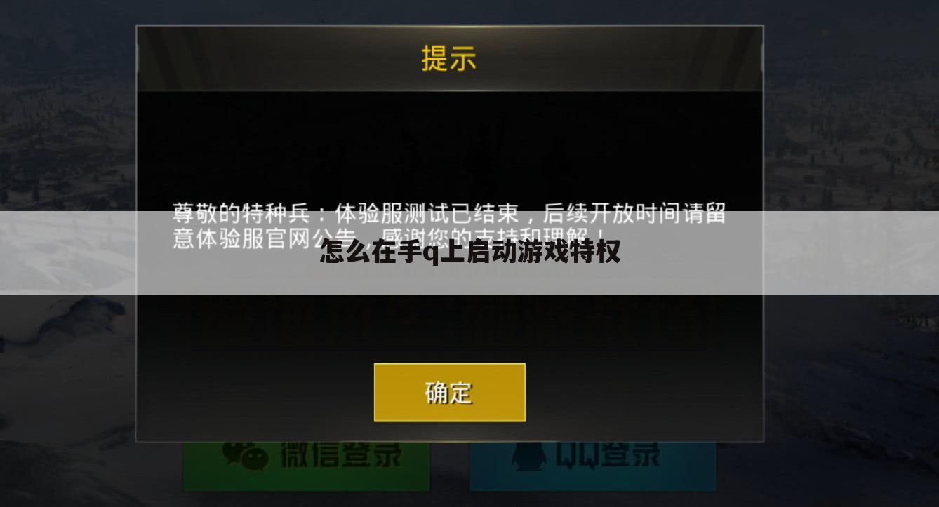 怎么在手q上启动游戏特权