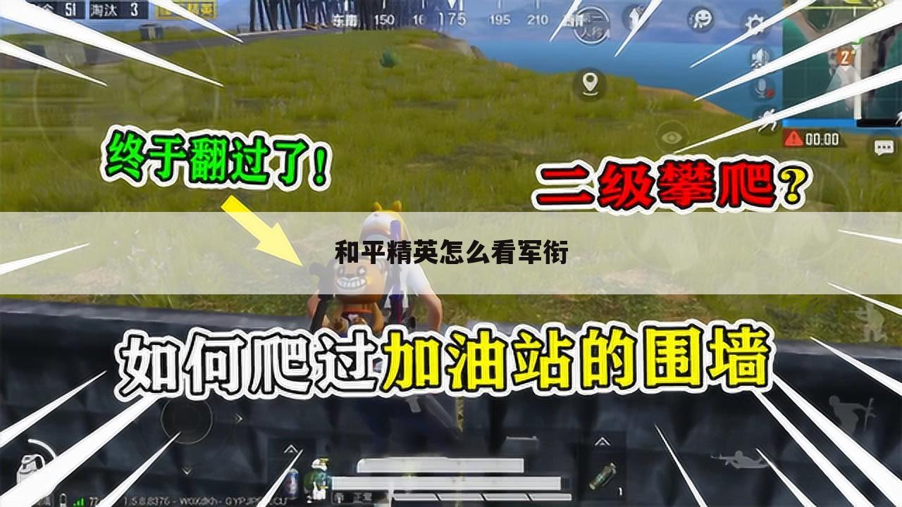 和平精英怎么看军衔