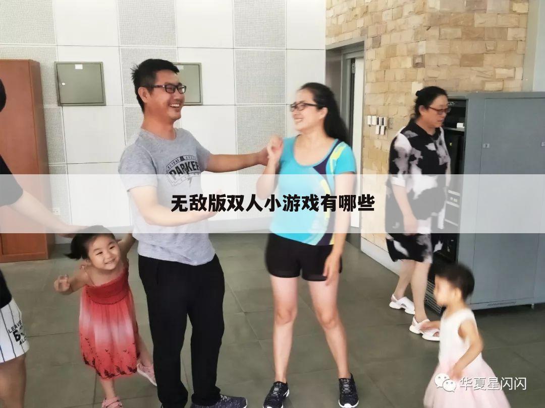 无敌版双人小游戏有哪些