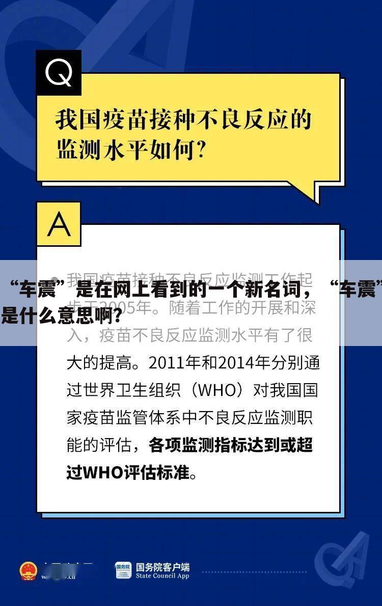 “车震”是在网上看到的一个新名词,“车震”是什么意思啊?