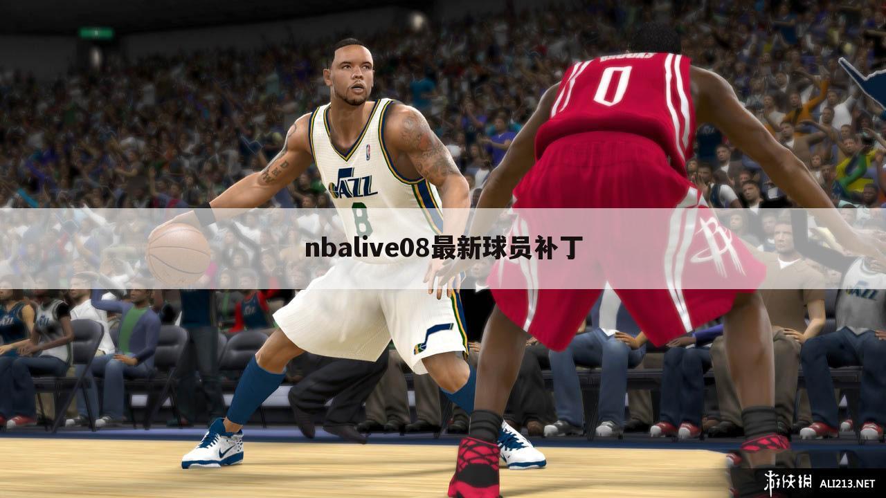 nbalive08最新球员补丁