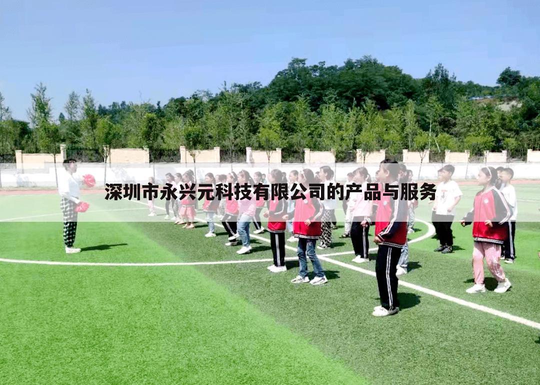深圳市永兴元科技有限公司的产品与服务
