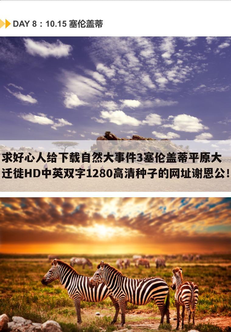 求好心人给下载自然大事件3塞伦盖蒂平原大迁徙HD中英双字1280高清种子的网址谢恩公!