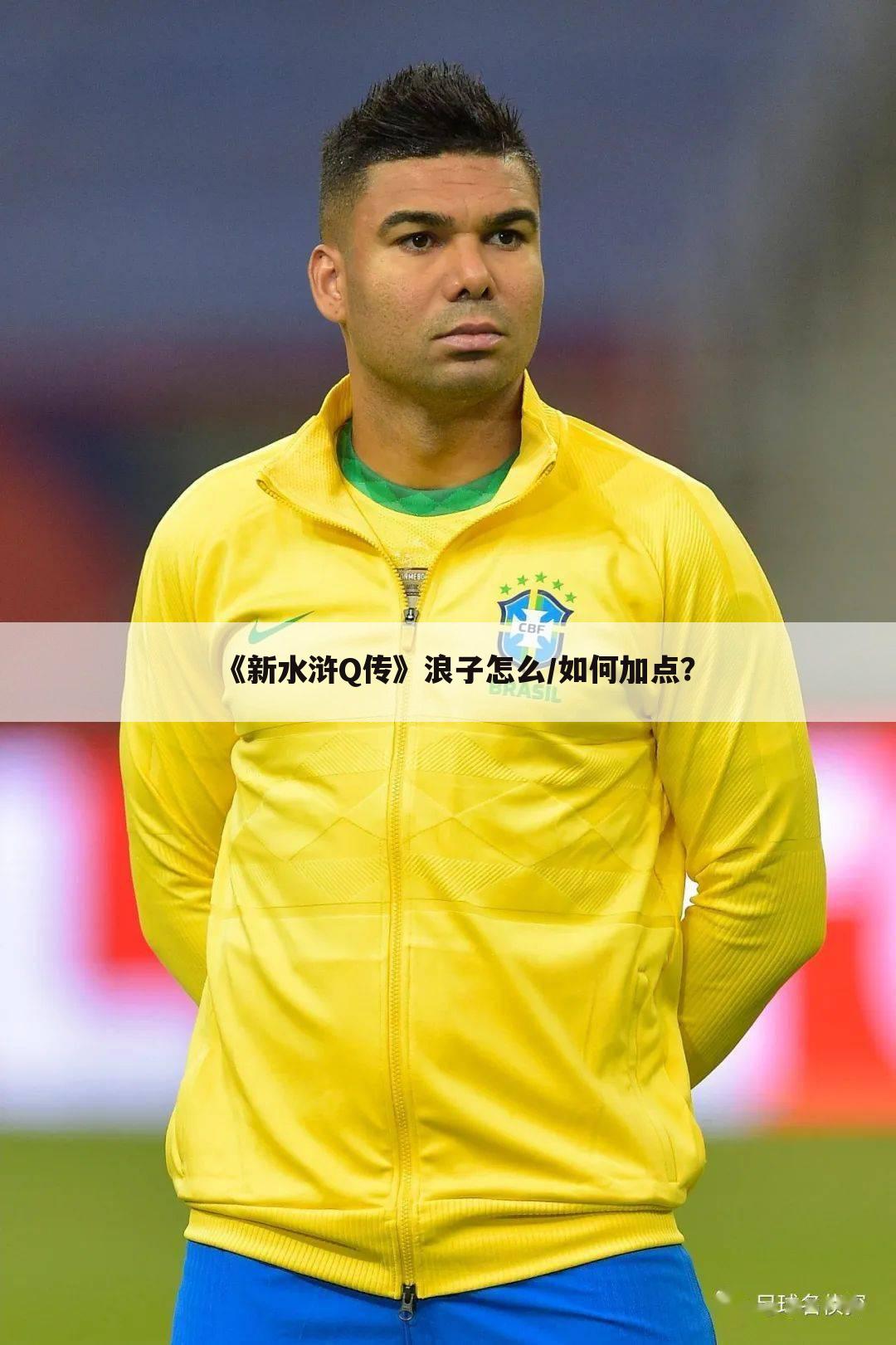 《新水浒Q传》浪子怎么/如何加点?