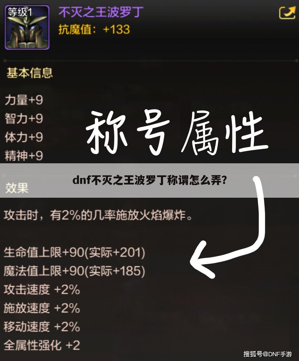 dnf不灭之王波罗丁称谓怎么弄?