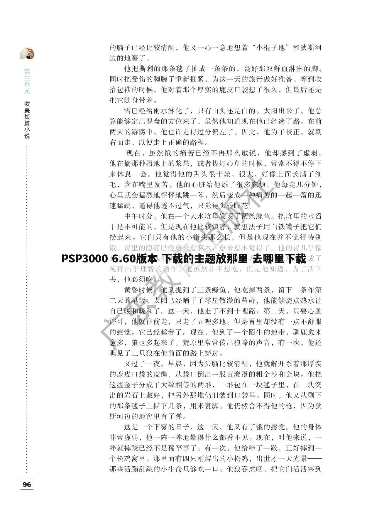 PSP3000 6.60版本 下载的主题放那里 去哪里下载