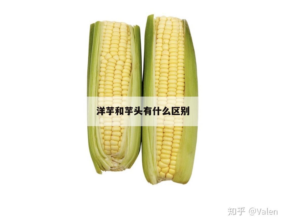 洋芋和芋头有什么区别
