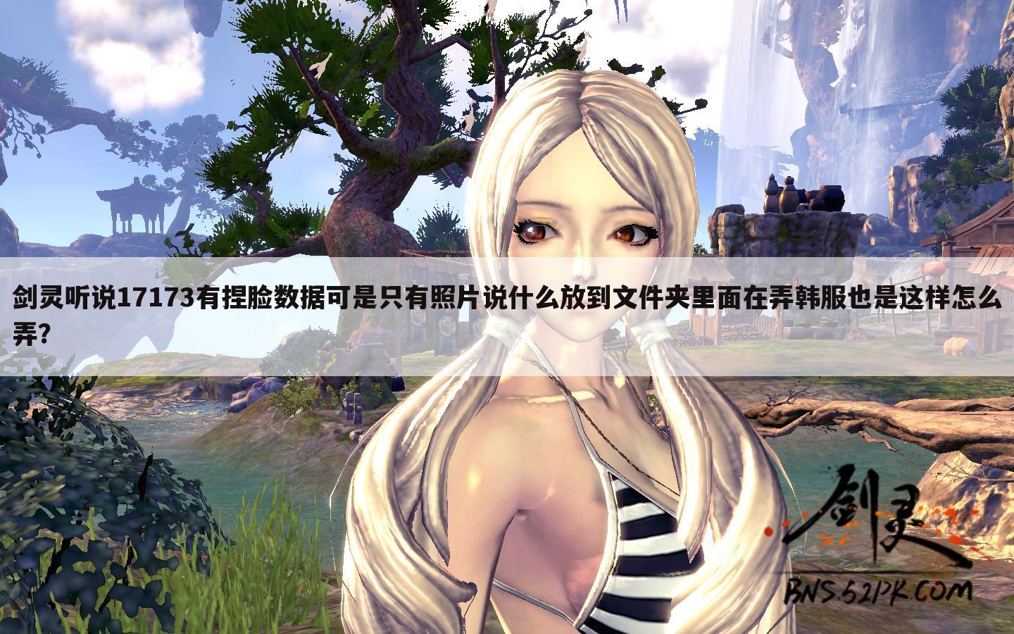 剑灵听说17173有捏脸数据可是只有照片说什么放到文件夹里面在弄韩服也是这样怎么弄?