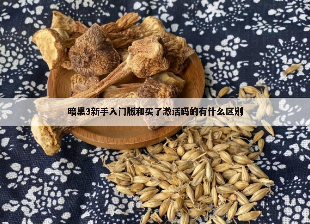 暗黑3新手入门版和买了激活码的有什么区别