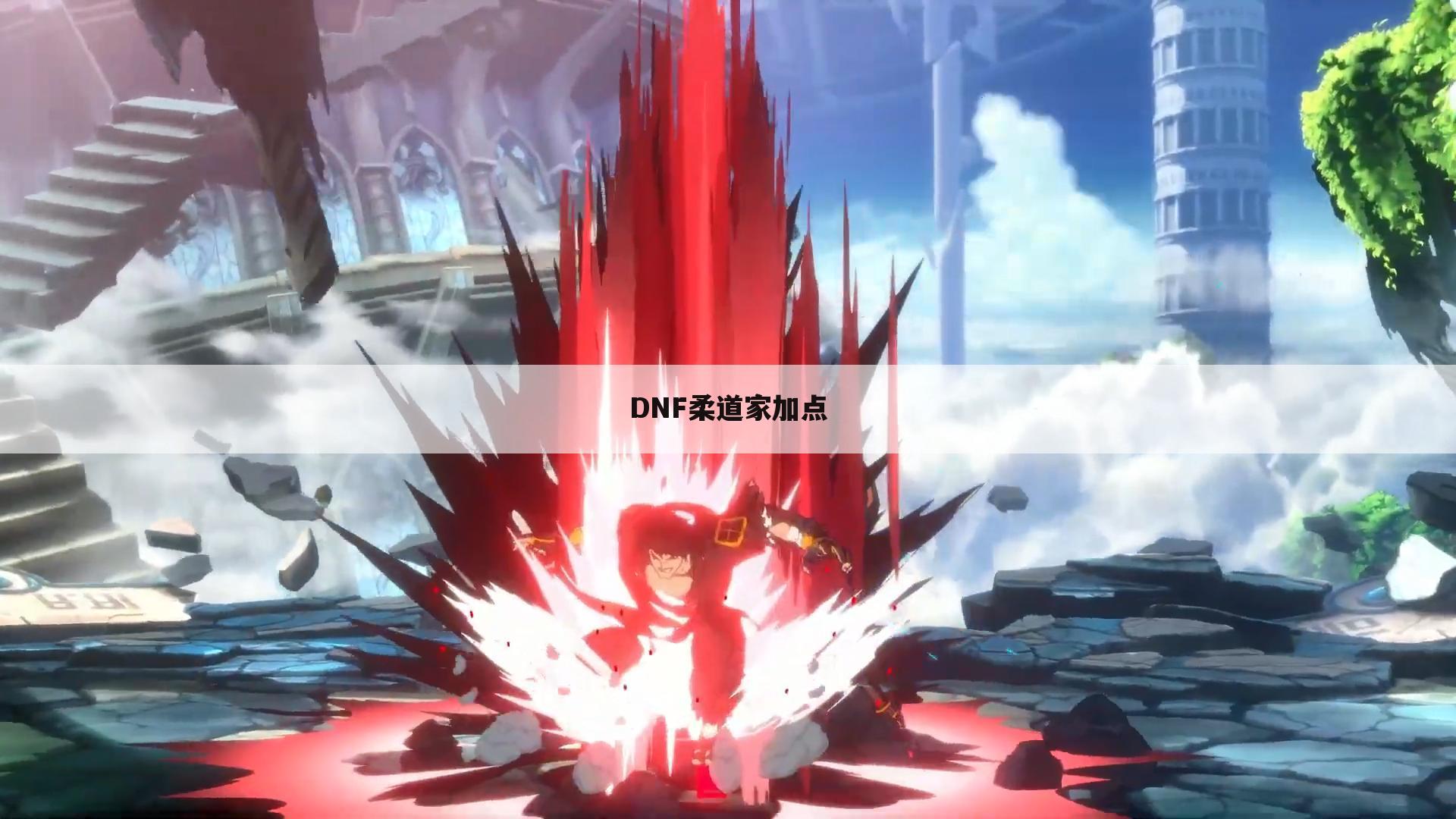 DNF柔道家加点