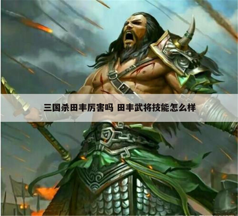 三国杀田丰厉害吗 田丰武将技能怎么样