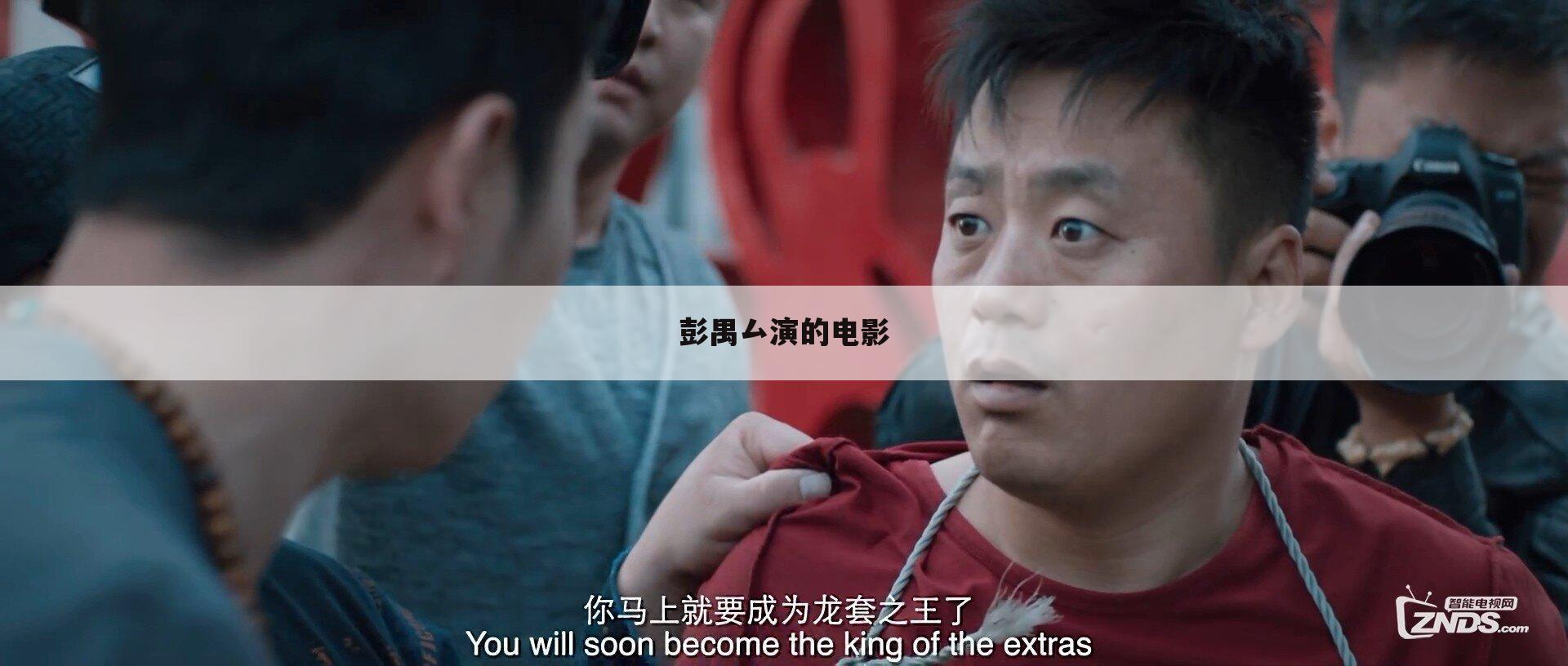 彭禺厶演的电影